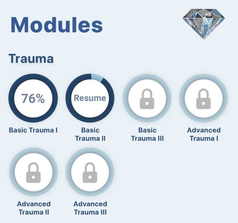 SpinED learning modules for trauma studies